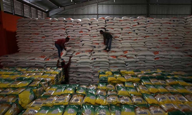 Perum Bulog Aceh Telah Menyerap 91.515 Ton Gabah Kering Panen Petani