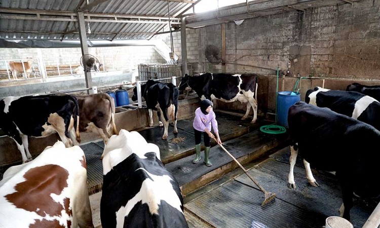 Nestle Gelar Asia Oceania Africa (AOA) Fresh Milk Sourcing Workshop 2025