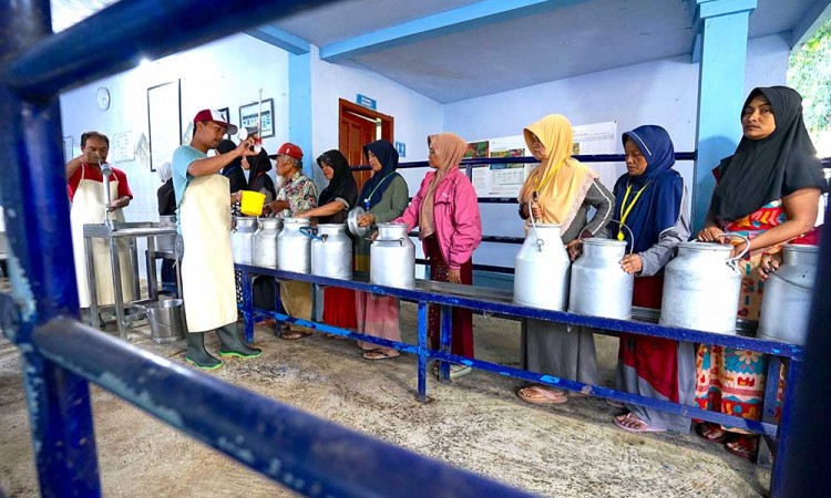 Nestle Gelar Asia Oceania Africa (AOA) Fresh Milk Sourcing Workshop 2025