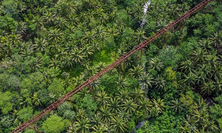 Rencana Reaktivasi Jembatan Kereta Api Terpanjang di Indonesia