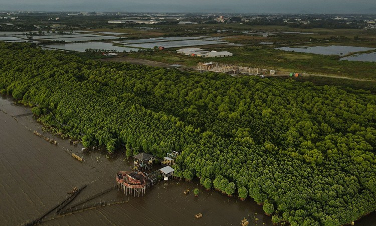 Potensi Habitat Mangrove di Sulawesi Selatan