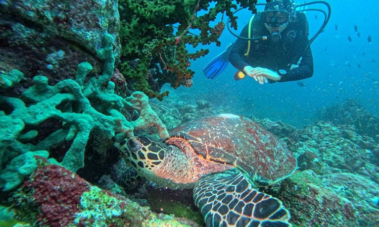 Wisata Bahari di Pulau Weh