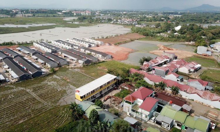 Penyusutan Lahan Sawah Nasional Menjadi Ancaman Bagi Ketahanan Pangan Nasional