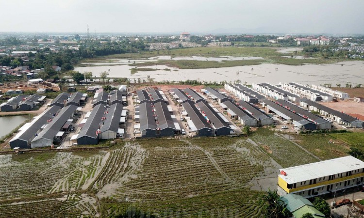Penyusutan Lahan Sawah Nasional Menjadi Ancaman Bagi Ketahanan Pangan Nasional