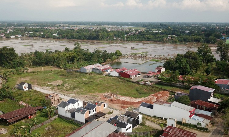 Penyusutan Lahan Sawah Nasional Menjadi Ancaman Bagi Ketahanan Pangan Nasional