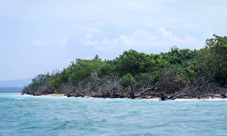 Pulau Tabuhan di Banyuwangi Menyusut Akibat Abrasi