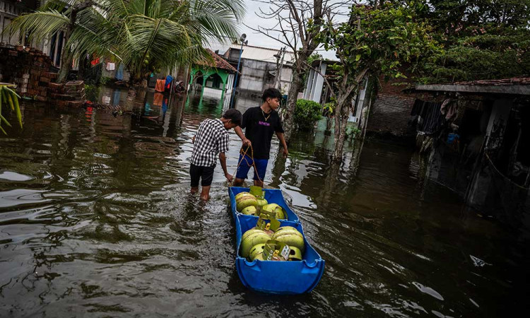 Sebelas Desa di Demak Terendam Banjir Akibat Jebolnya Tanggul Sungai Tuntang