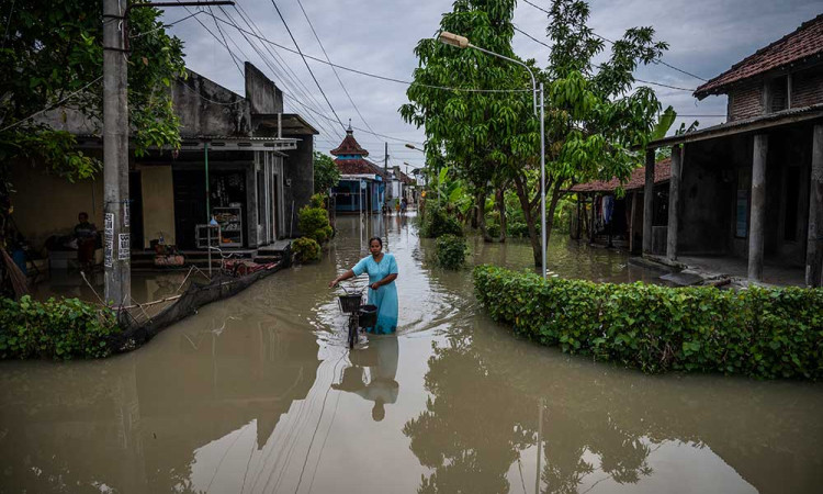 Sebelas Desa di Demak Terendam Banjir Akibat Jebolnya Tanggul Sungai Tuntang
