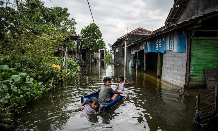 Sebelas Desa di Demak Terendam Banjir Akibat Jebolnya Tanggul Sungai Tuntang