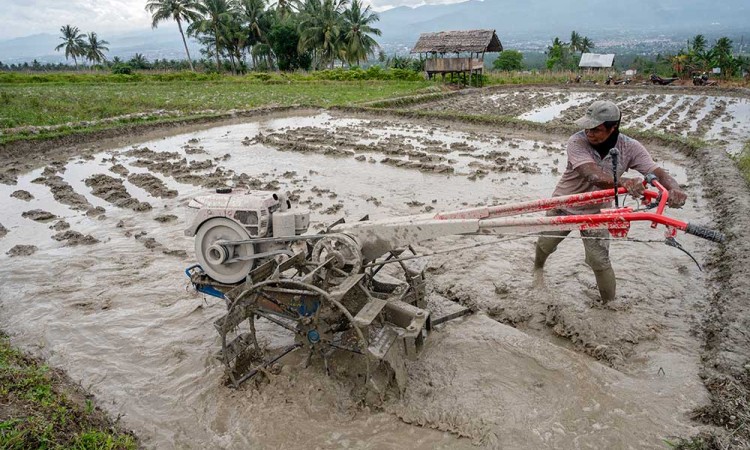 Kementan Siapkan Anggaran Rp10 Triliun Untuk Meningkatkan Produktivitas Pertanian