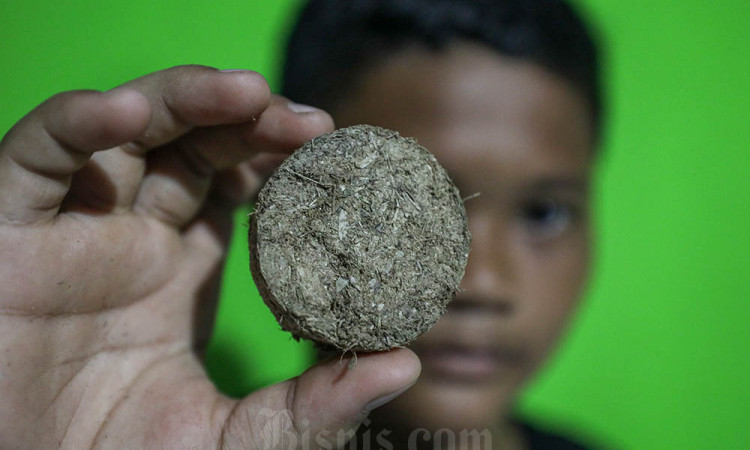 Kelompok Ankubas Menyulap Gulma Menjadi Aroma Bernilai Ekonomi