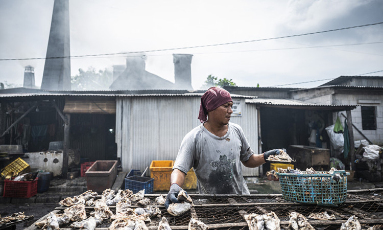 Produksi Ikan Asap di Semarang