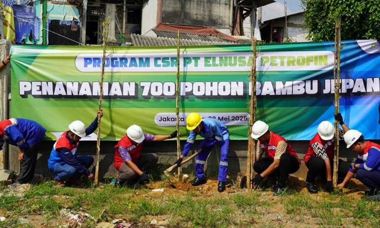 PT Elnusa Petrofin Hijaukan Jalur Distribusi Energi Melalui Penanaman 9.292 Pohon di Tiga Tahun Terakhir