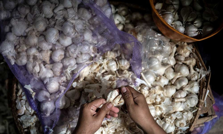 BPS Mencatat Terjadi Deflasi di Jawa Tengah Sebesar 0,49%