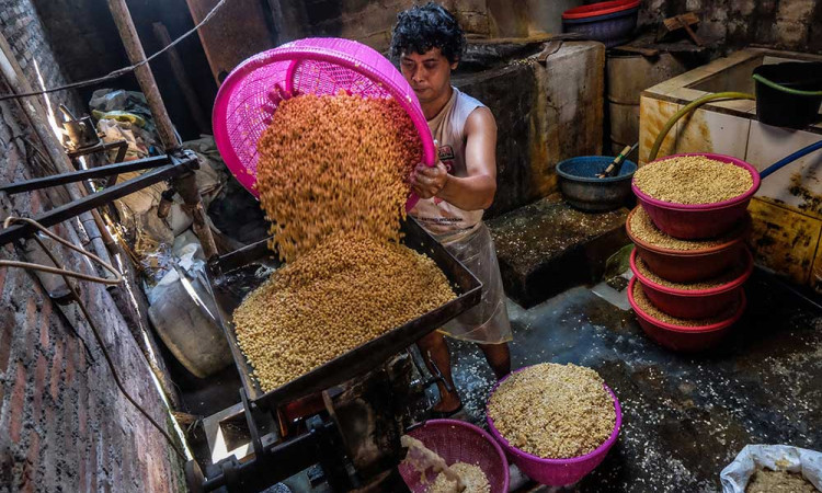 Konsumsi Kedelai Nasional Diprediksi Naik Jadi 2,75 Juta Metrik Ton Pada Tahun Ini