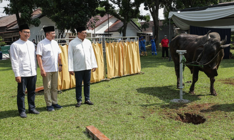 Bank Mandiri Group Distribusikan 1.134 Hewan Kurban