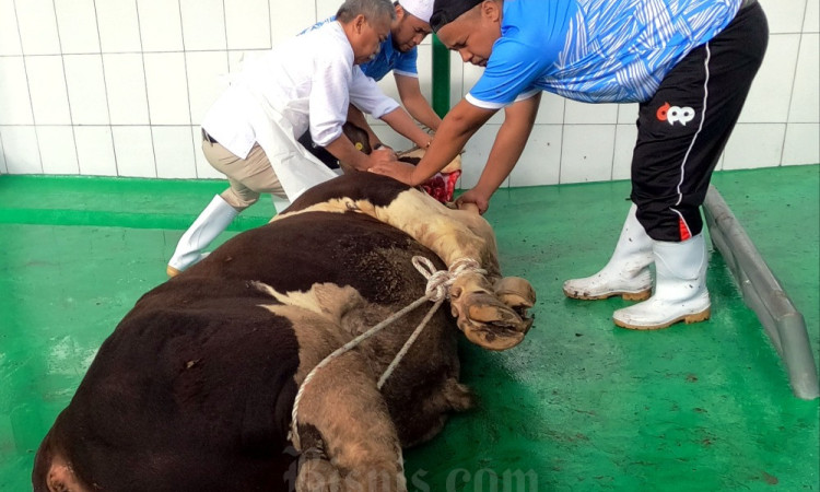 Pemkab Bandung Barat Ajak Warga Manfaatkan RPH Untuk Sembelih Hewan Kurban