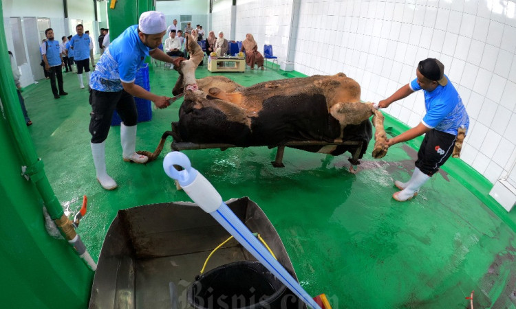 Pemkab Bandung Barat Ajak Warga Manfaatkan RPH Untuk Sembelih Hewan Kurban