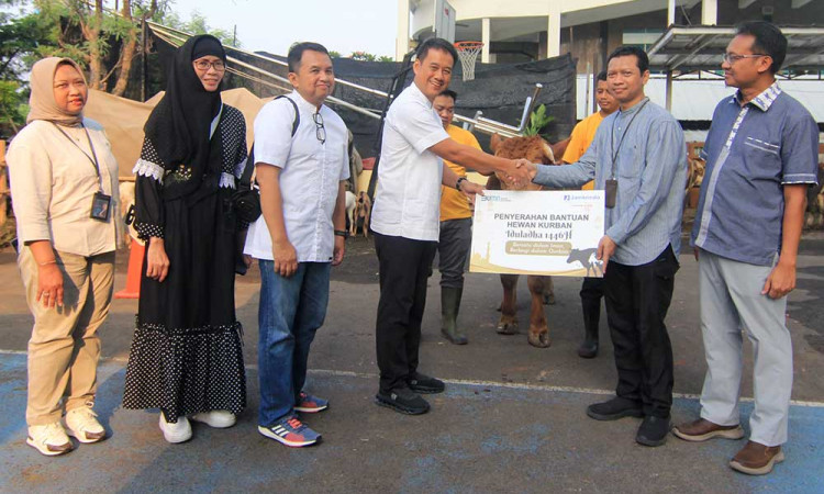 Penyerahan Hewan Kurban Jamkrindo Untuk Dibagikan ke Masyarakat