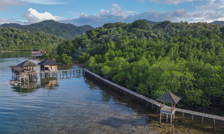 Rencana Peraturan Perlindungan dan Pengelolaan Mangrove
