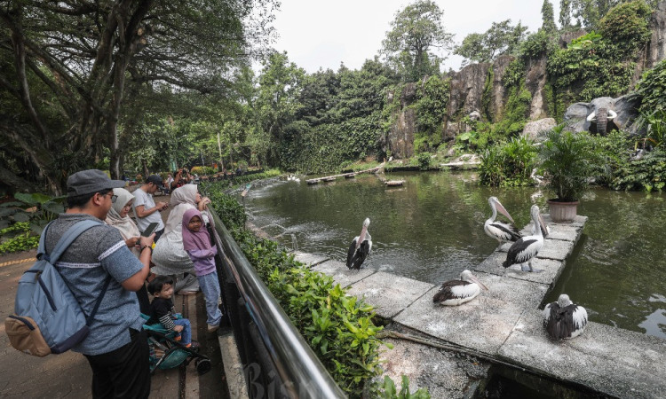 Selama Libur Iduladha 80.000 Orang Berlibur Di Ragunan