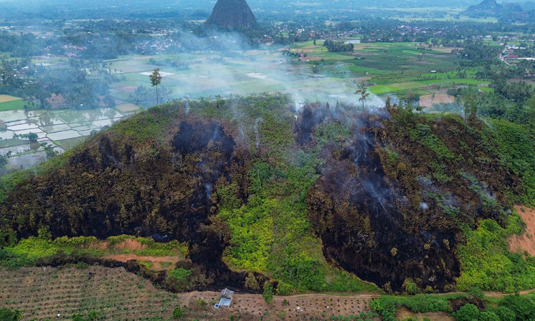 Kebakaran Hutan dan Lahan di Limapuluhkota