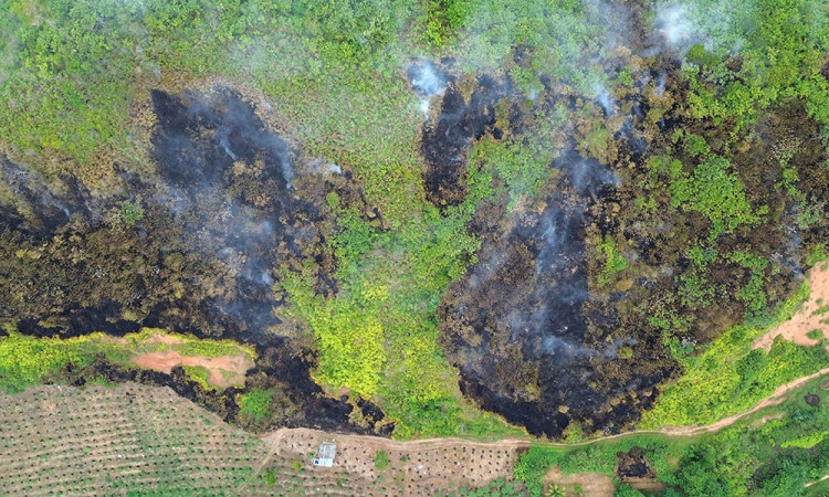Kebakaran Hutan dan Lahan di Limapuluhkota