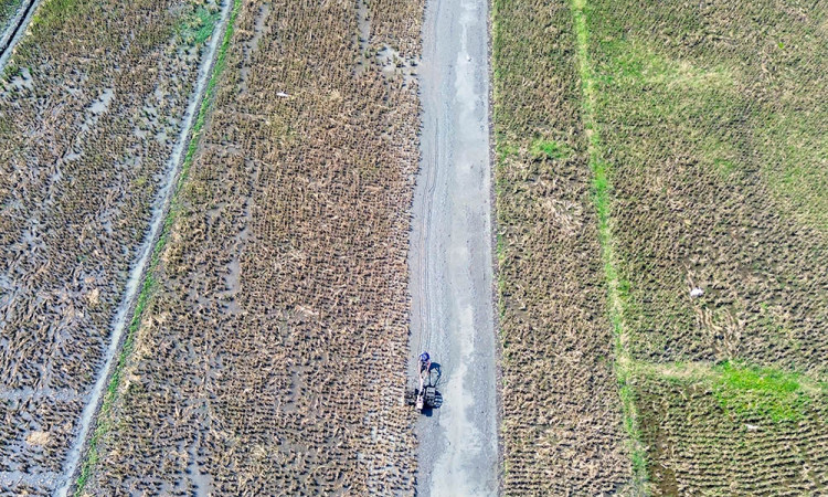 Nilai Tukar Petani Mei 2025 Menurun