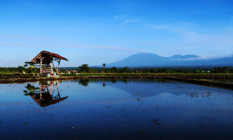 Aktivitas Erupsi Gunung Raung