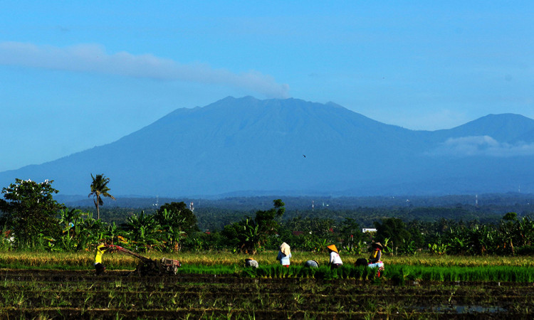 Aktivitas Erupsi Gunung Raung