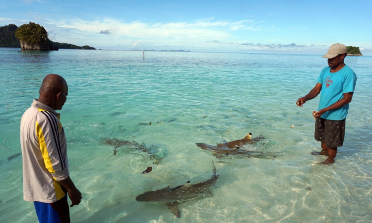 Masyarakat Adat Tutup Tempat Wisata Pulau Wayag di Raja Ampat