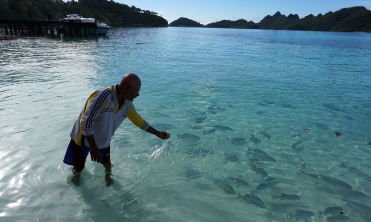 Masyarakat Adat Tutup Tempat Wisata Pulau Wayag di Raja Ampat