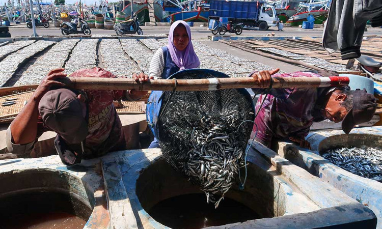 Pelaku Usaha Ikan Asin di Jawa Timur Kesulitan Mendapatkan Bahan Baku