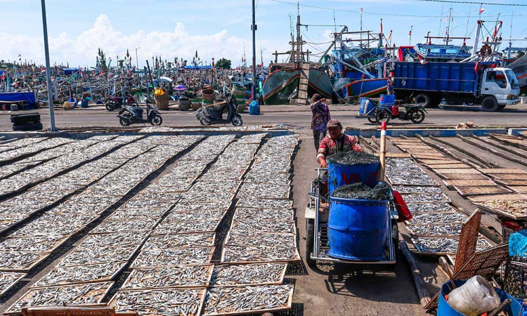 Pelaku Usaha Ikan Asin di Jawa Timur Kesulitan Mendapatkan Bahan Baku