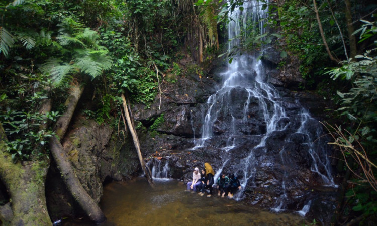 Wisata Alam Air Terjun Sarasah Murai