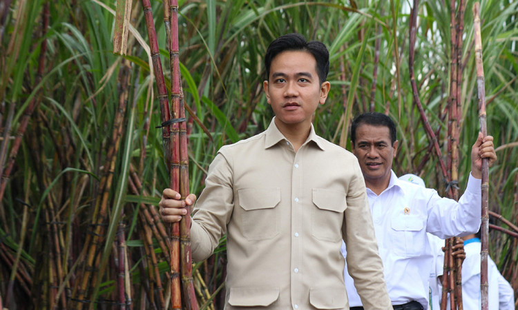 Wapres Temui Petani Tebu di Banyuwangi