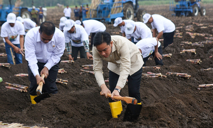 Wapres Temui Petani Tebu di Banyuwangi