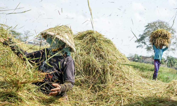 Pertumbuhan Ekonomi di Jawa Tengah Mencapai 4,96% Pada Triwulan I/2025