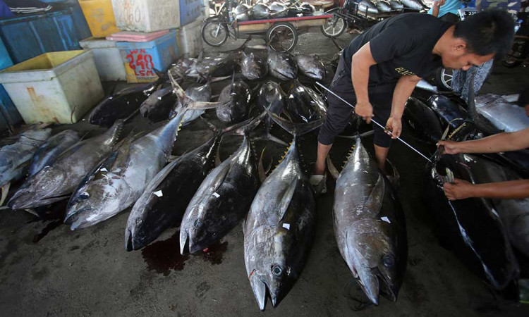 Harga Ikan di Aceh Alami Kenaikan Akibat Cuaca Buruk