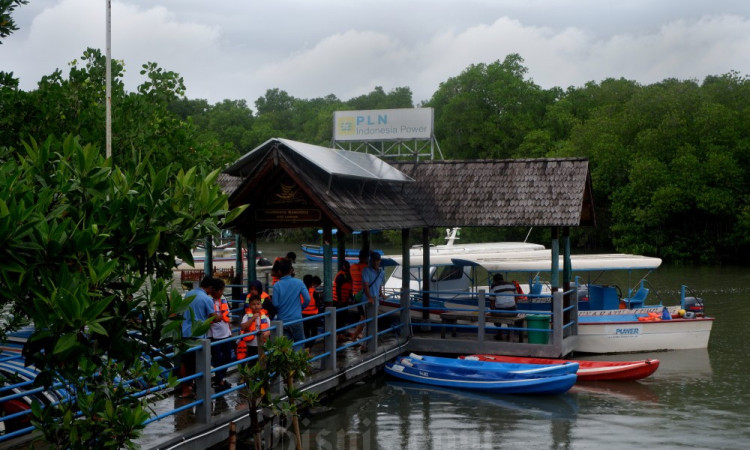 Ekowisata Mangrove Batu Lumbang Dorong Ekonomi Warga