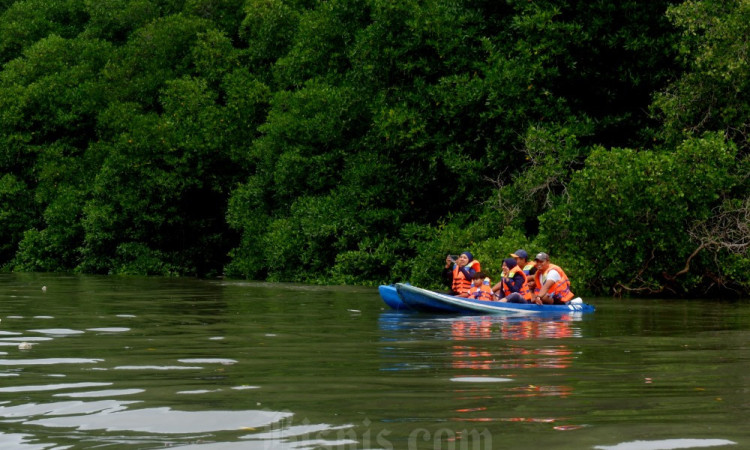 Ekowisata Mangrove Batu Lumbang Dorong Ekonomi Warga