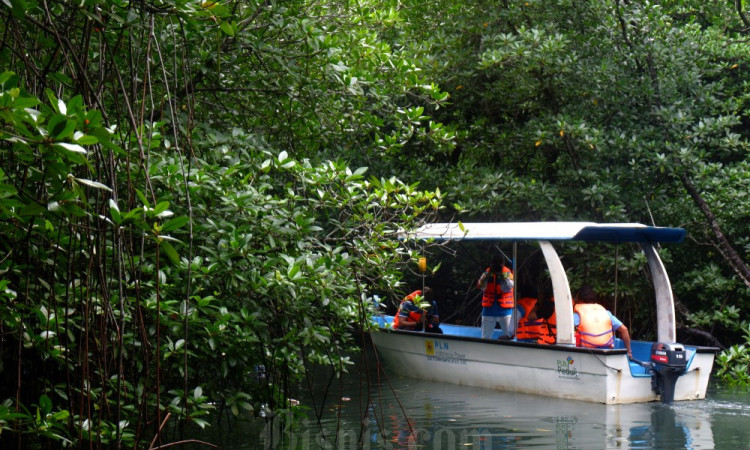 Ekowisata Mangrove Batu Lumbang Dorong Ekonomi Warga