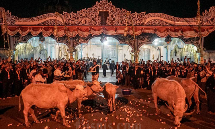 Kirab Malam 1 Suro di Keraton Kasunanan Surakarta