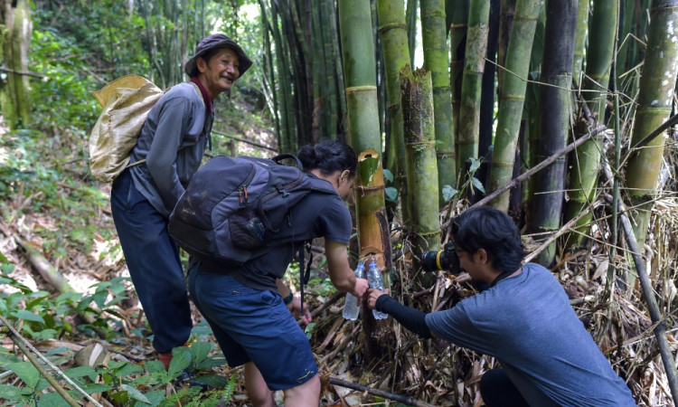 Pemanfaatan Hasil Hutan Adat