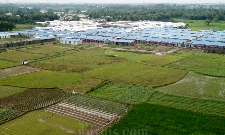 Larangan Alih Fungsi Lahan Persawahan