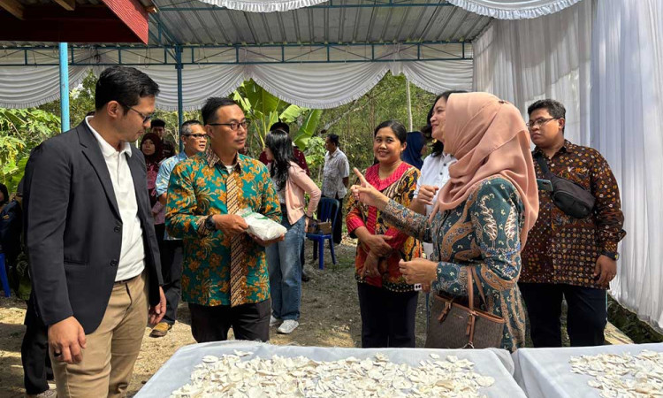 BRI Life Dorong Daya Saing dan Peningkatan Nilai Produksi Singkong