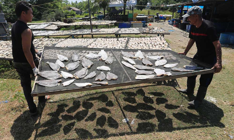 Produksi Ikan Asin Kering di Aceh Menurun Akibat Cuaca Buruk