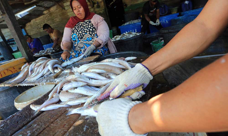 Produksi Ikan Asin Kering di Aceh Menurun Akibat Cuaca Buruk