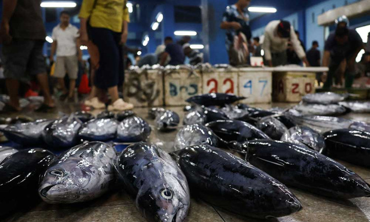 KKP Terbitkan Peraturan Terkait Penerapan Standar Bahan Baku Pengolahan Ikan