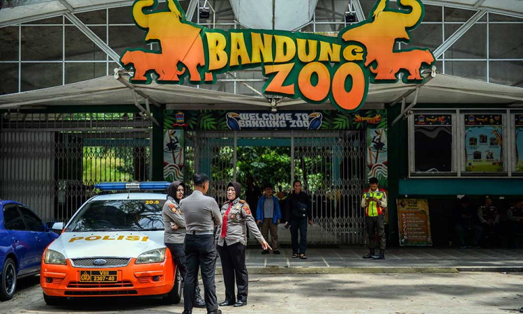 Kisruh Manajemen, Kebun Binatang Bandung Ditutup Sementara